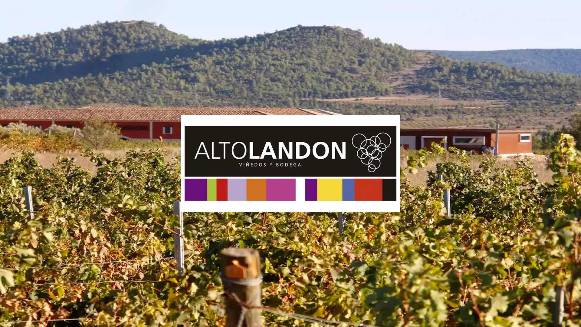 Bodegas Altolandon Wine