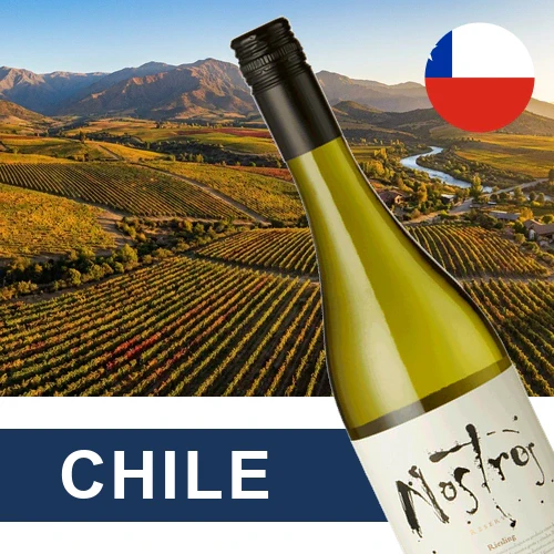 Chile Wine Collection