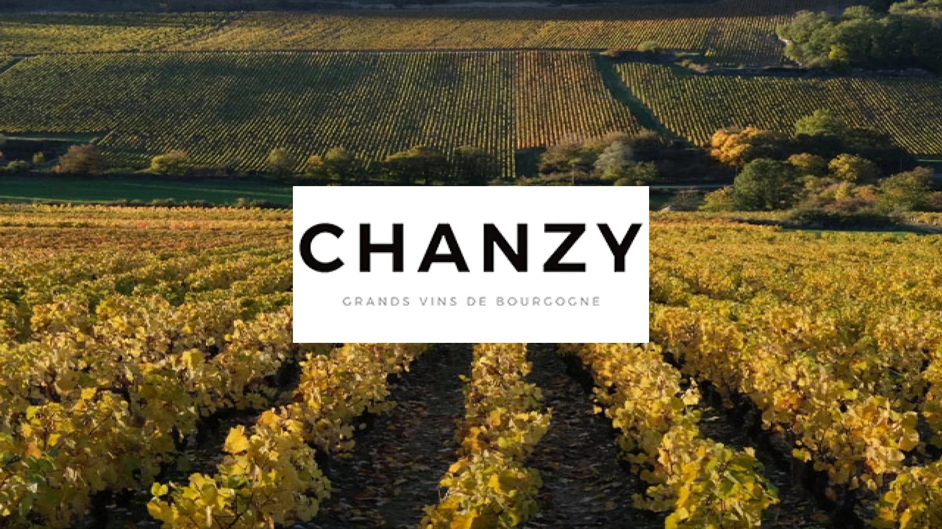 Maison Chanzy Wines