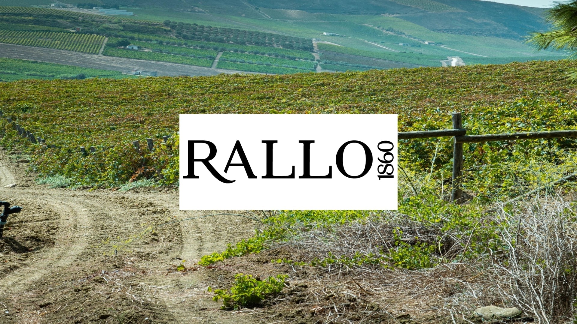 Rallo Azienda Agricola Wines