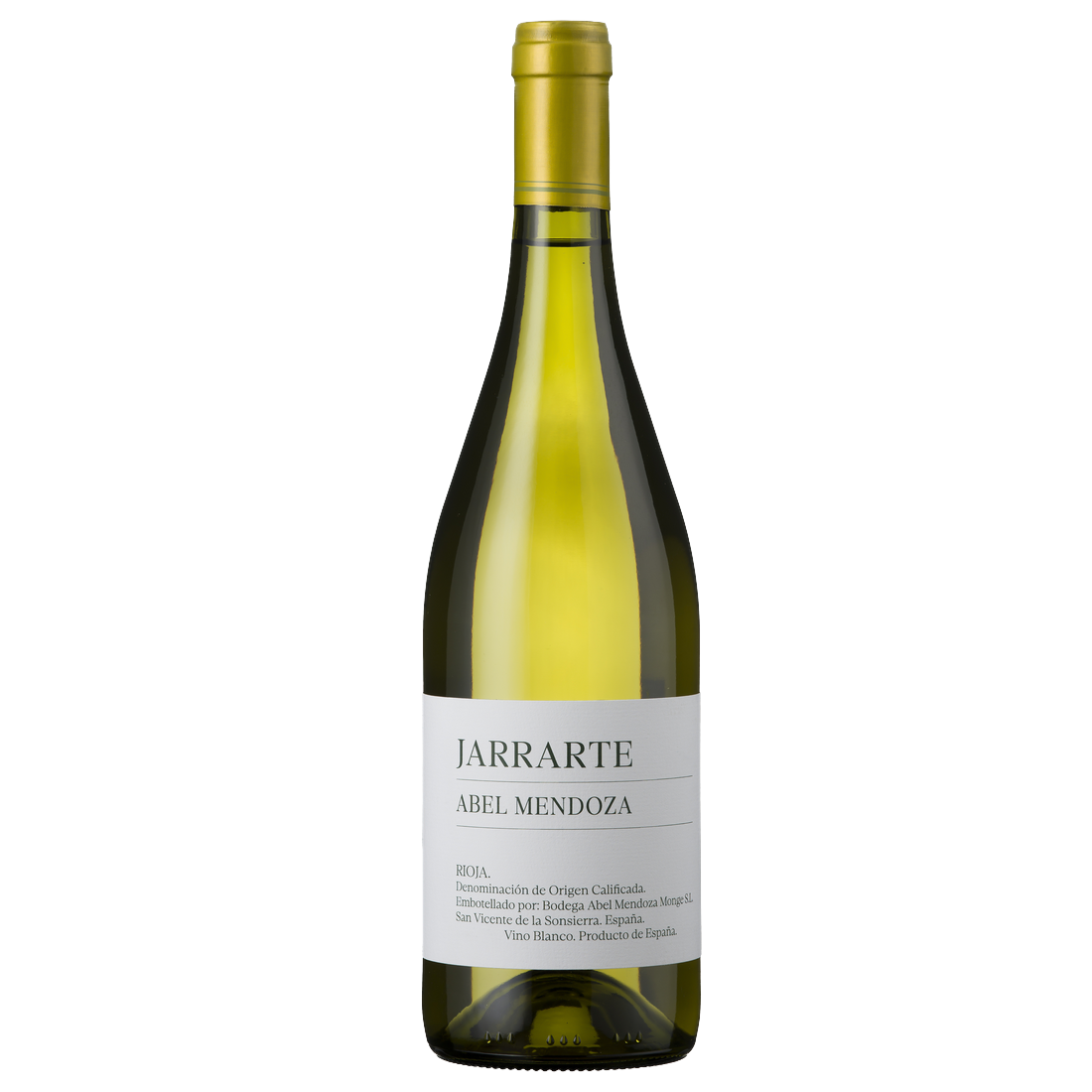 Abel Mendoza Jarrarte Blanco