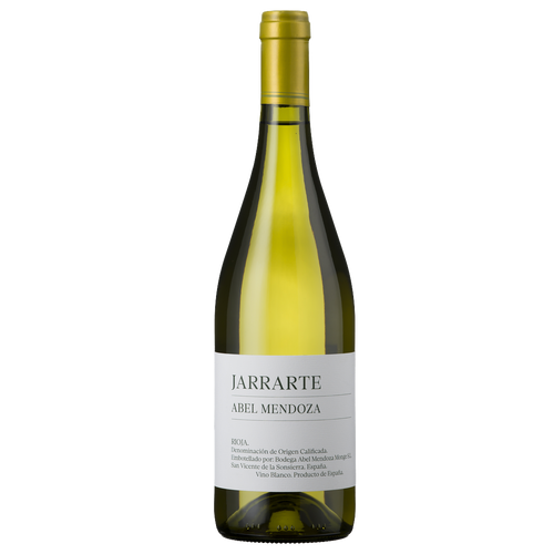 Abel Mendoza Jarrarte Blanco