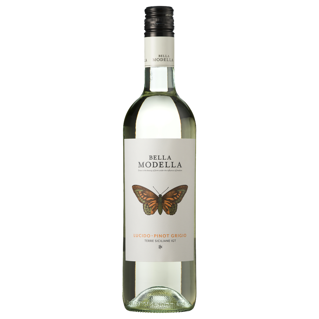 Bella Modella Lucido Pinot Grigio