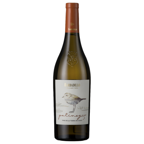 Bodegas Barbadillo Patinegro