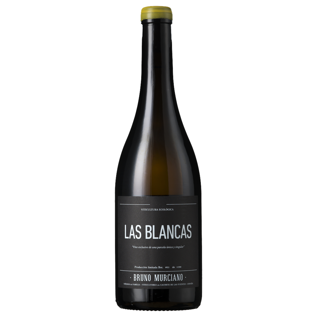 Bruno Murciano Las Blancas