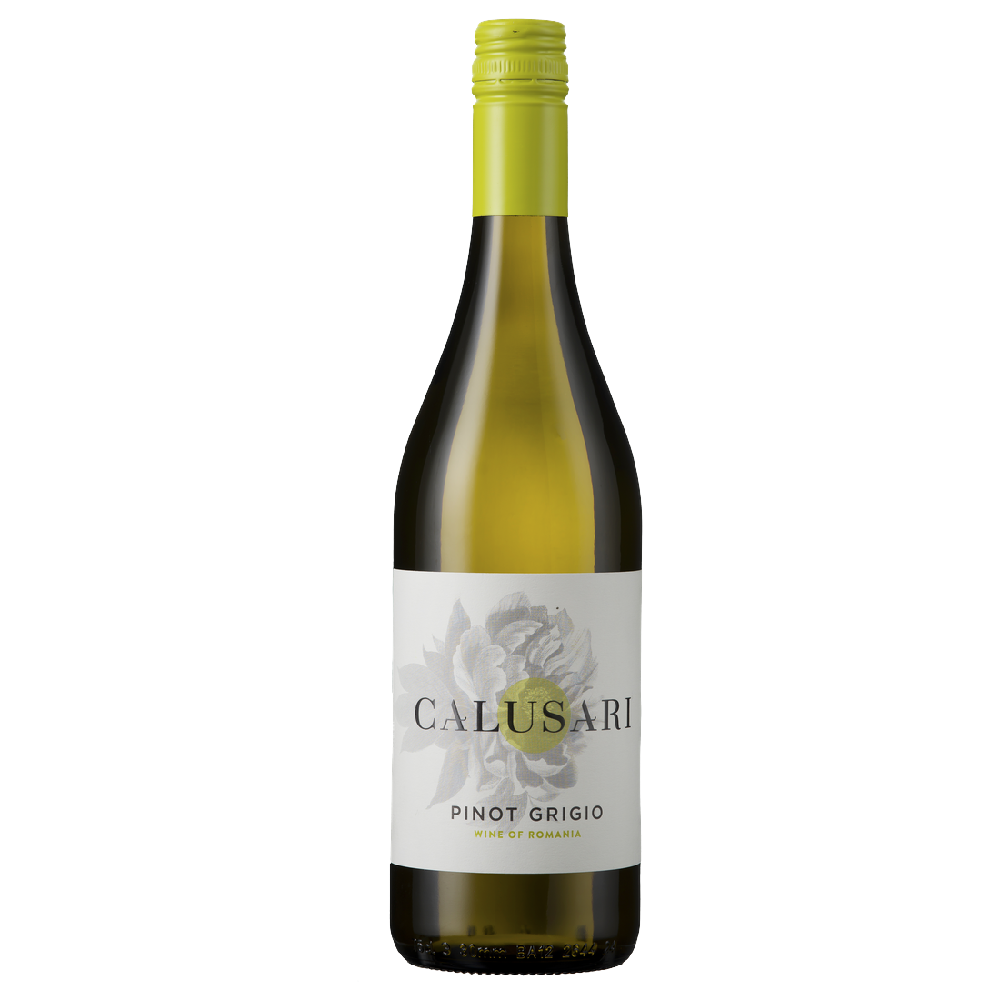 Cramele Recas Estate Pinot Grigio