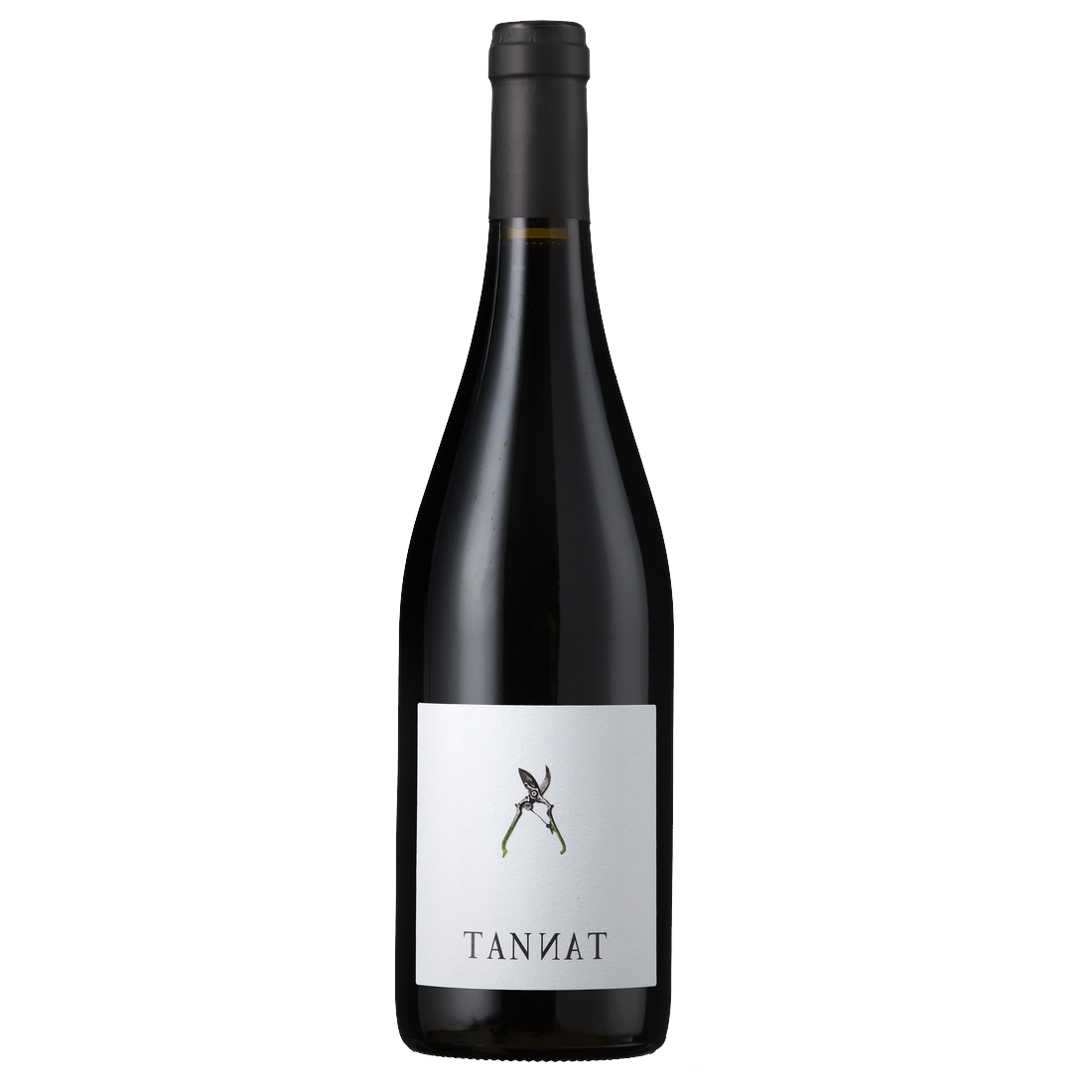 Domaine Capmartin Tannat