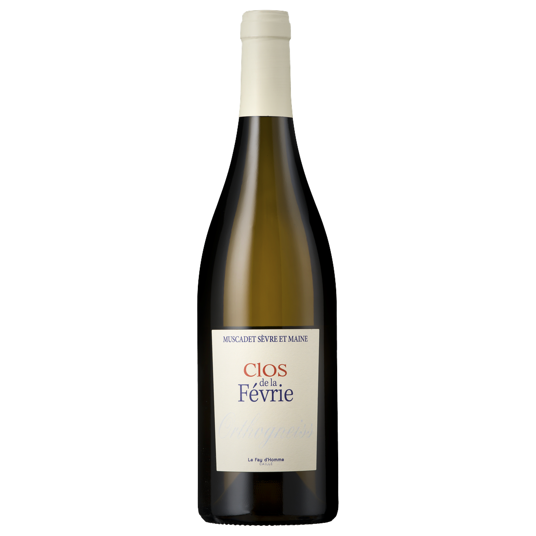 Domaine le Fay d'Homme Clos de la Févrie Orthogneiss