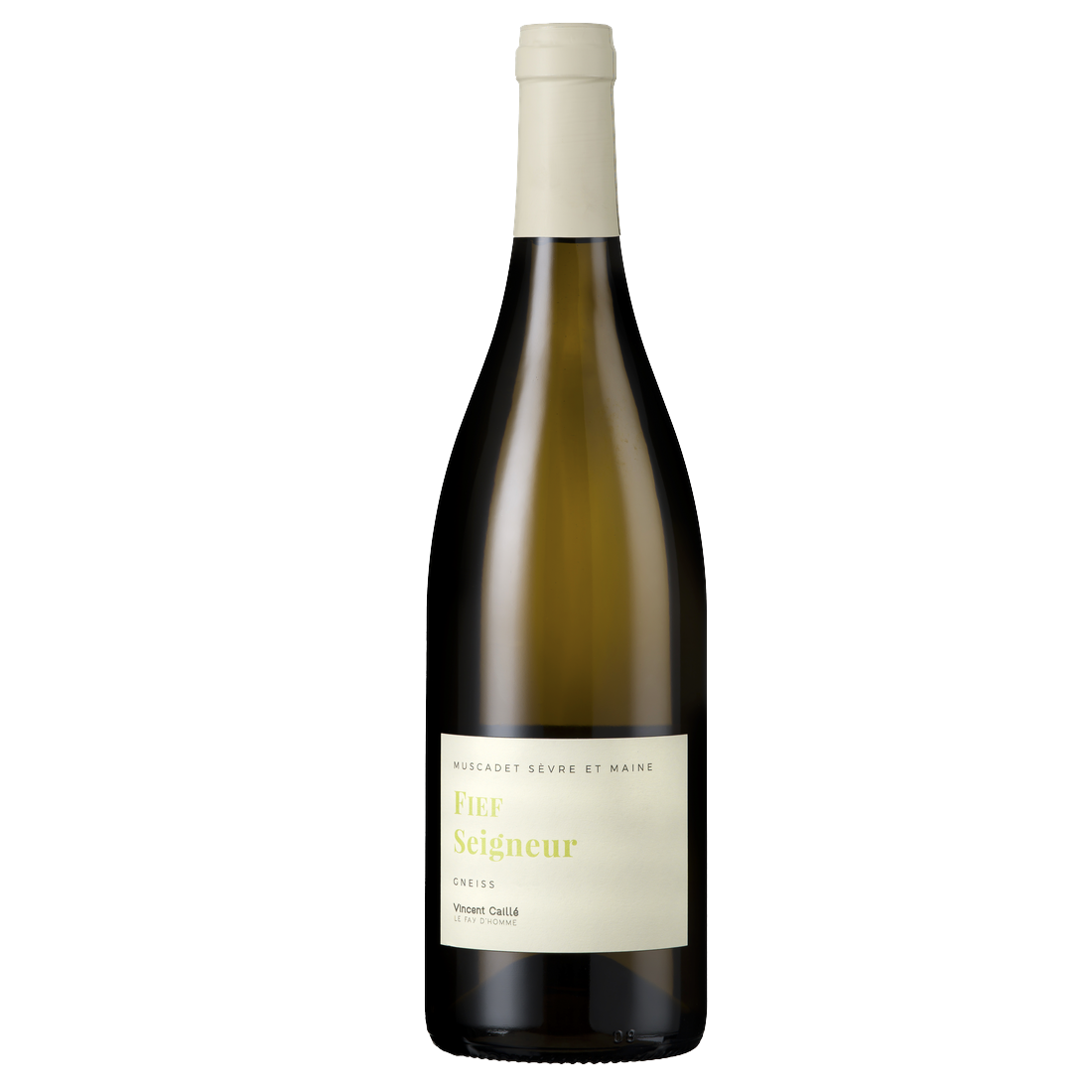 Domaine le Fay d'Homme Fief Seigneur Gneiss