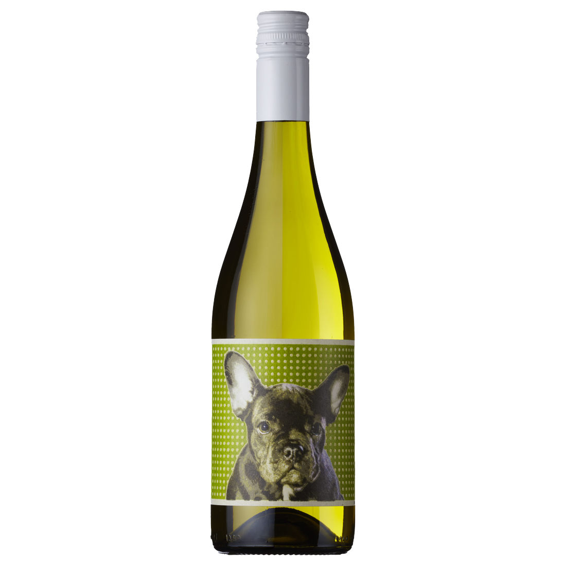 The Dog's Les Chiens Blanc