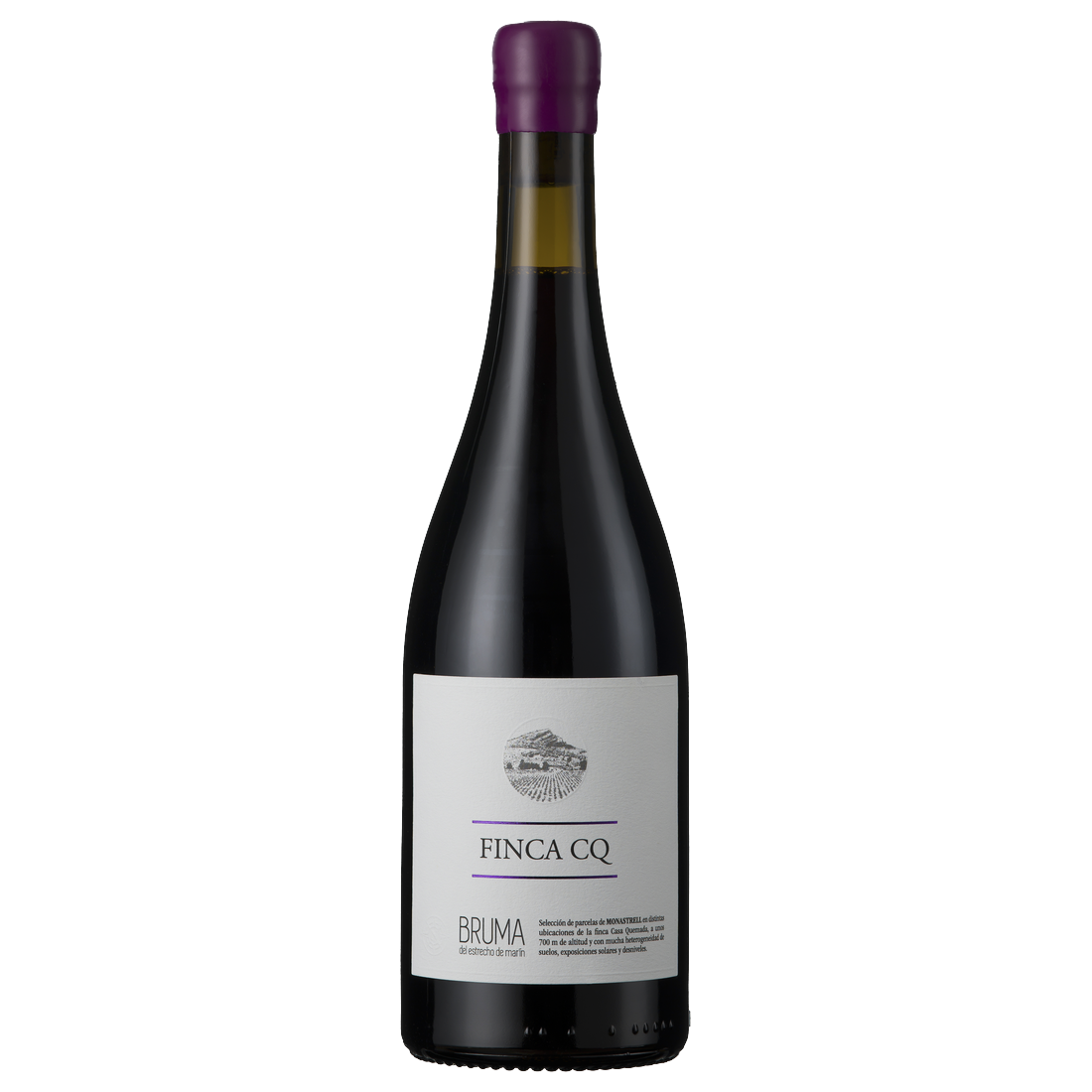 Vina Elena Bruma del Estrecho de Marin Finca CQ